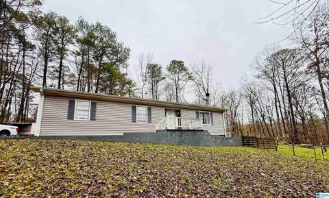 Photo of 264 McGinnis Street, SPRINGVILLE, AL 35146 (MLS # 21438244)
