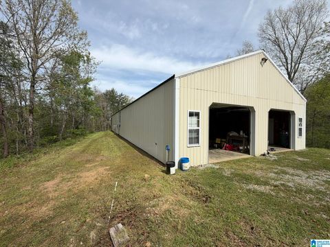 Photo of 2121 Center Hill Road, TRAFFORD, AL 35172 (MLS # 21449193)