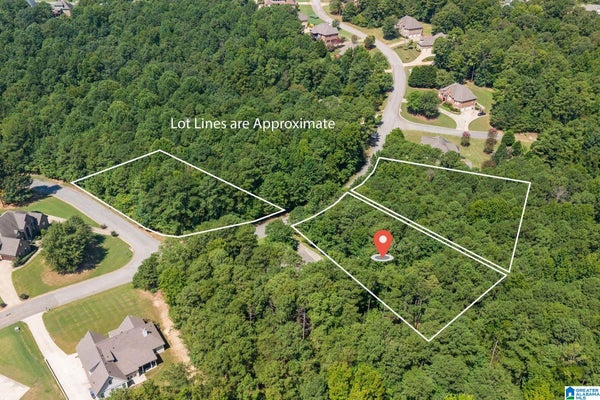 4033 OVERLOOK WAY # 449, TRUSSVILLE, AL 35173 - Image 9904db58f7630c010cd8b11a78b0bfbf/3372829454
