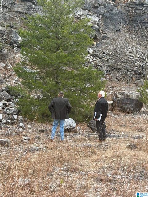 0 ROCKY LANE 1 ALPINE AL 35014