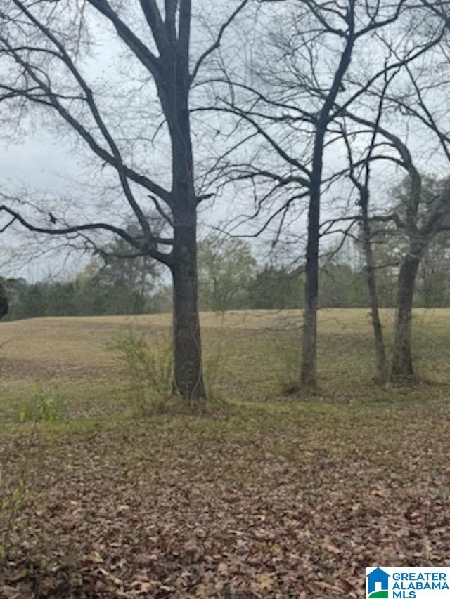 812 DEE HENDRIX ROAD 0