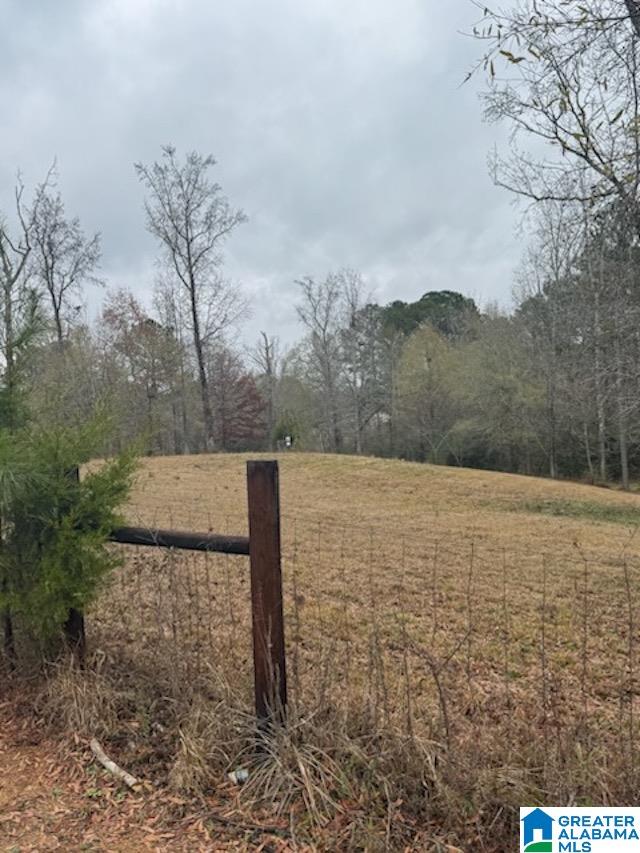 812 DEE HENDRIX ROAD 0