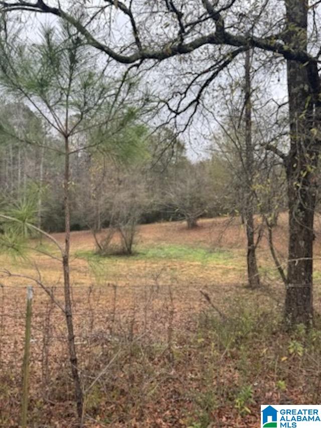 Photo 1 of 5 — 812 DEE HENDRIX ROAD 0, HUEYTOWN, AL 35023