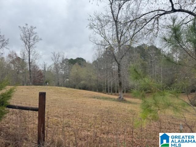 812 DEE HENDRIX ROAD 0