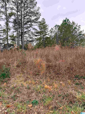 INDIAN HILLS RD, HAYDEN, AL 35079 - Image 99988da02000efeec4c65ea80a7edc35/558124154