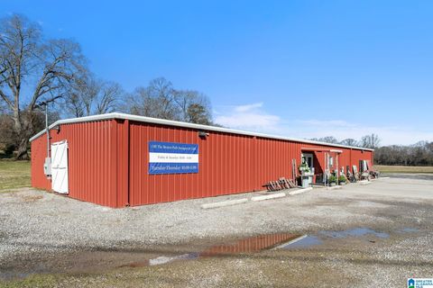 5941 OLD TUSCALOOSA HIGHWAY MC CALLA AL 35111