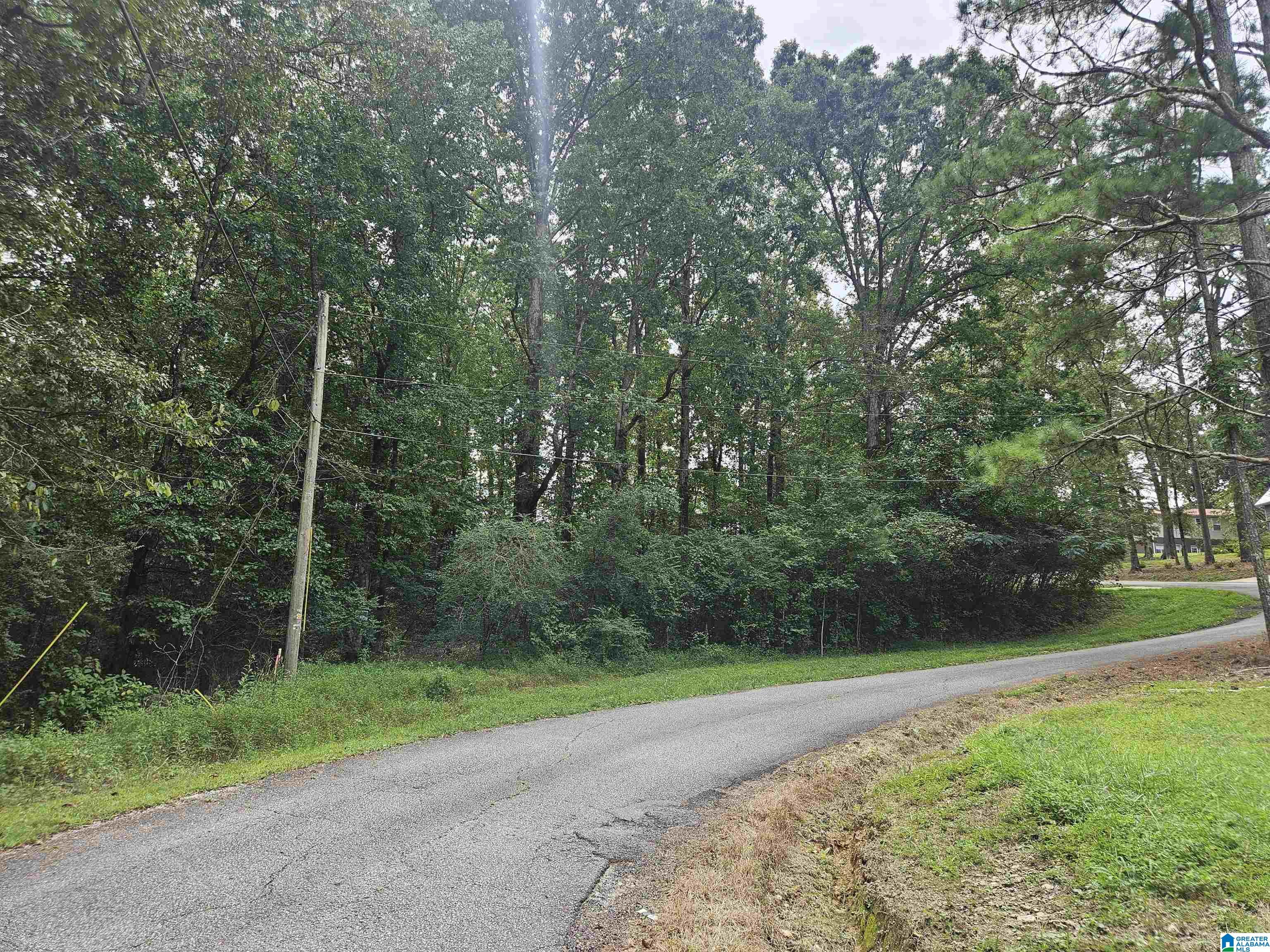 Photo 1 of 2 — 0 SHIRLEY DRIVE 1, MOODY, AL 35004
