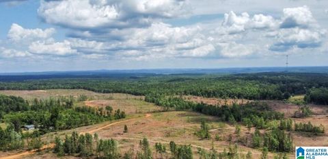 0 COUNTY ROAD 489 0 VERBENA AL 36091