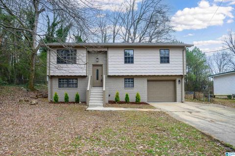 668 20TH COURT NE CENTER POINT AL 35215