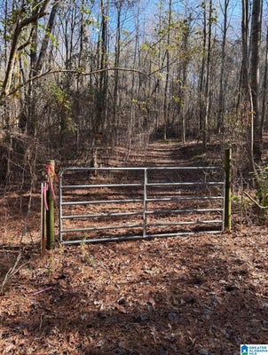 821 SUNSHINE AVE # 0, ONEONTA, AL 35121 - Image 9ccd6c8a8c336b27407f6bfdbff29b5d/1083706371