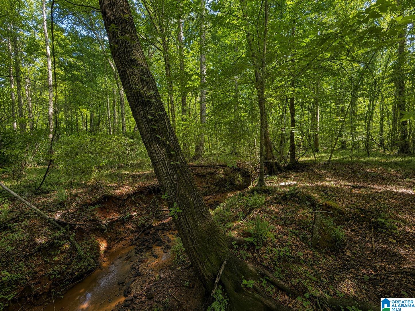 0 SMITH MILL ROAD 2