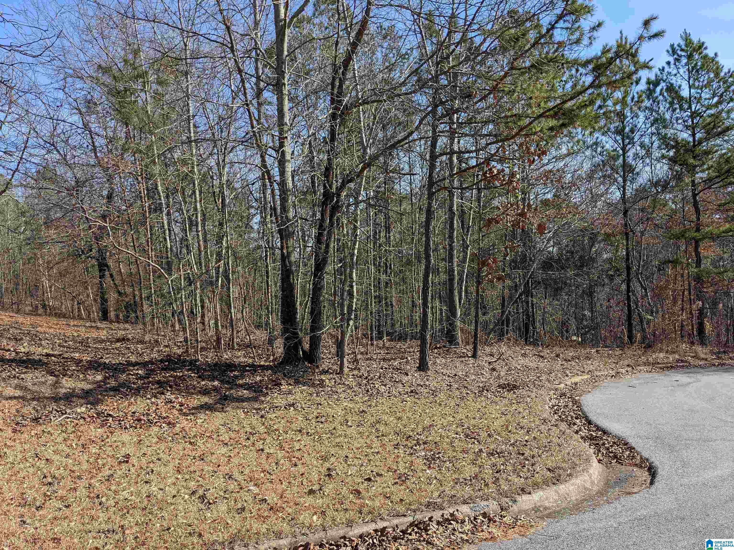 0 (Lot 246) WINFREY LANE 246