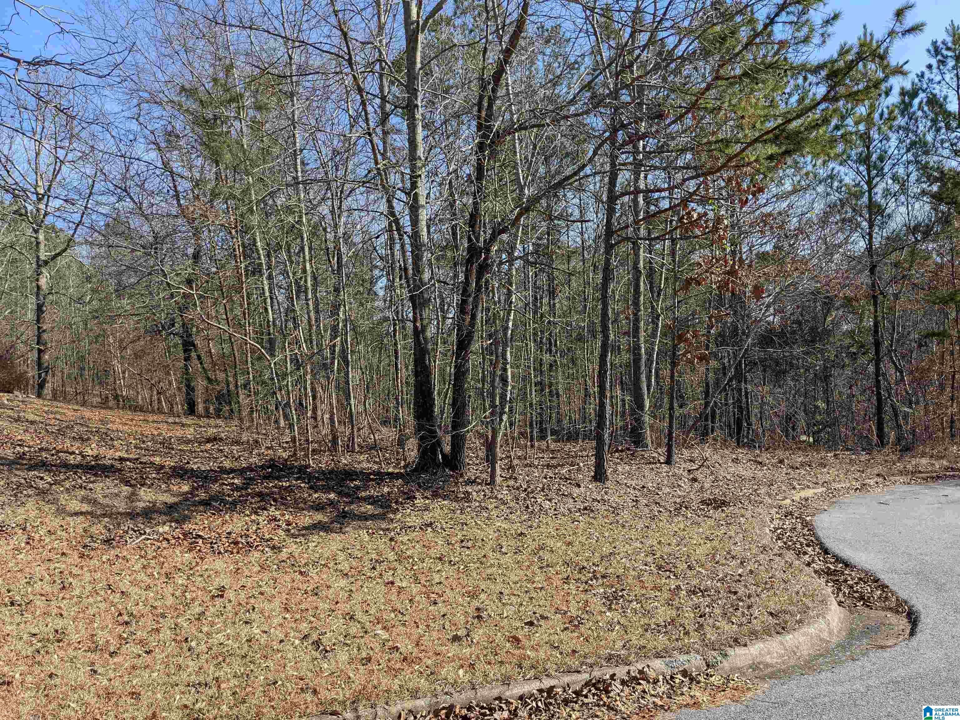 0 (Lot 246) WINFREY LANE 246