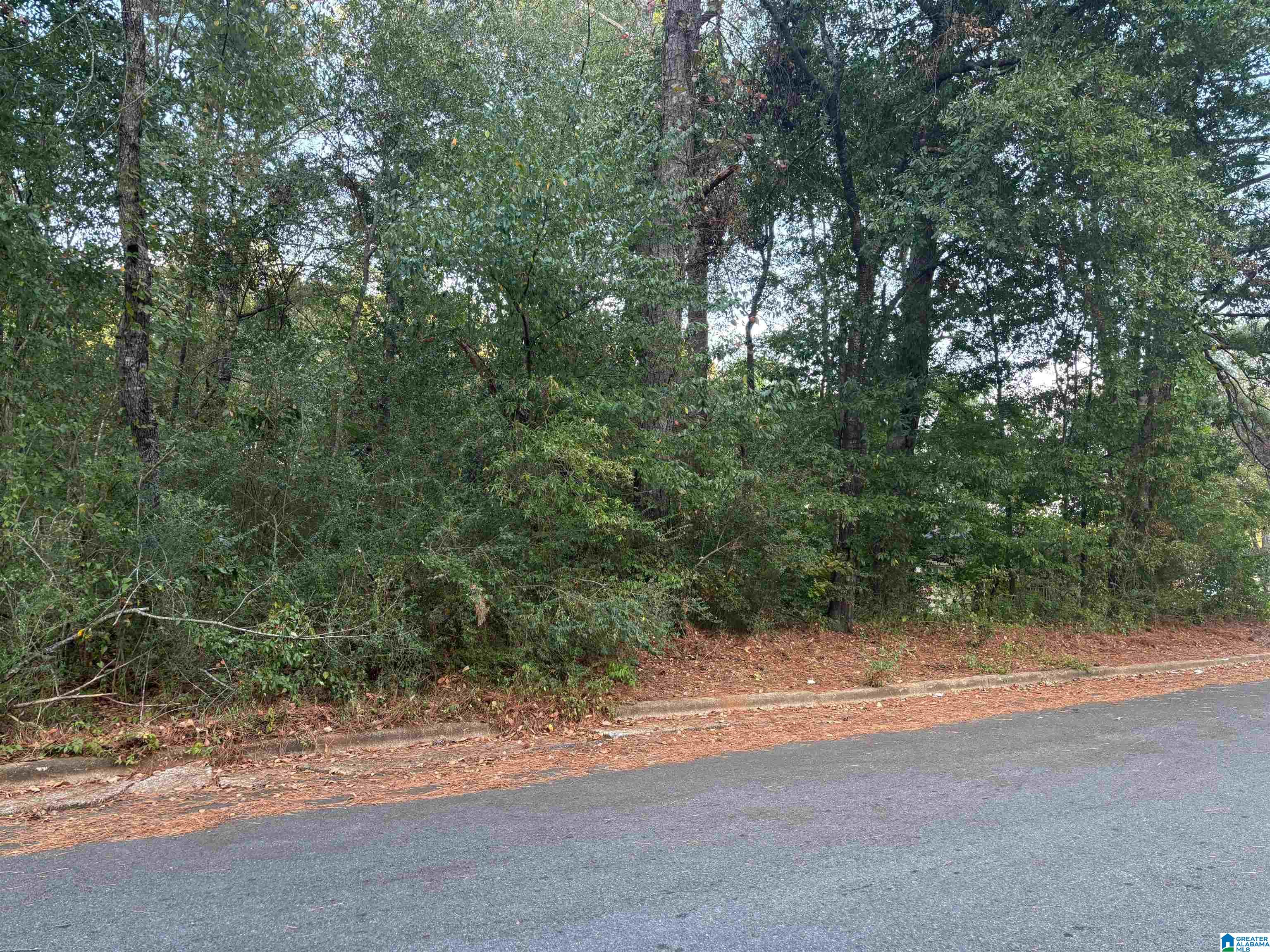 Photo 1 of 6 — 0 SEDGEFIELD DRIVE 11, SYLACAUGA, AL 35150
