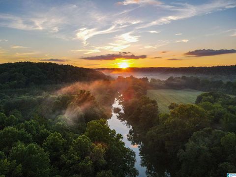 NoBusinessCreek PHILLIPS LANE 2103 EMPIRE AL 35063