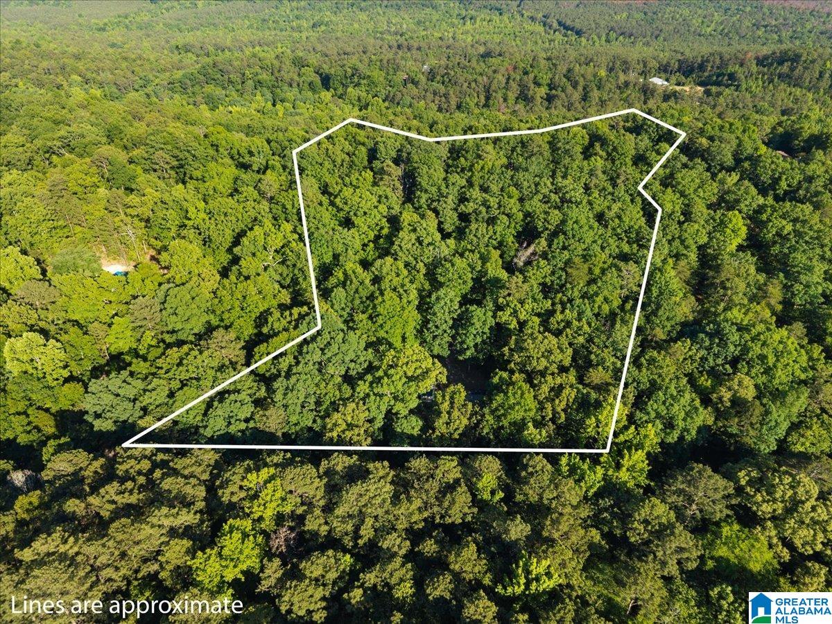 426 OAK RIDGE ROAD - Photo 3