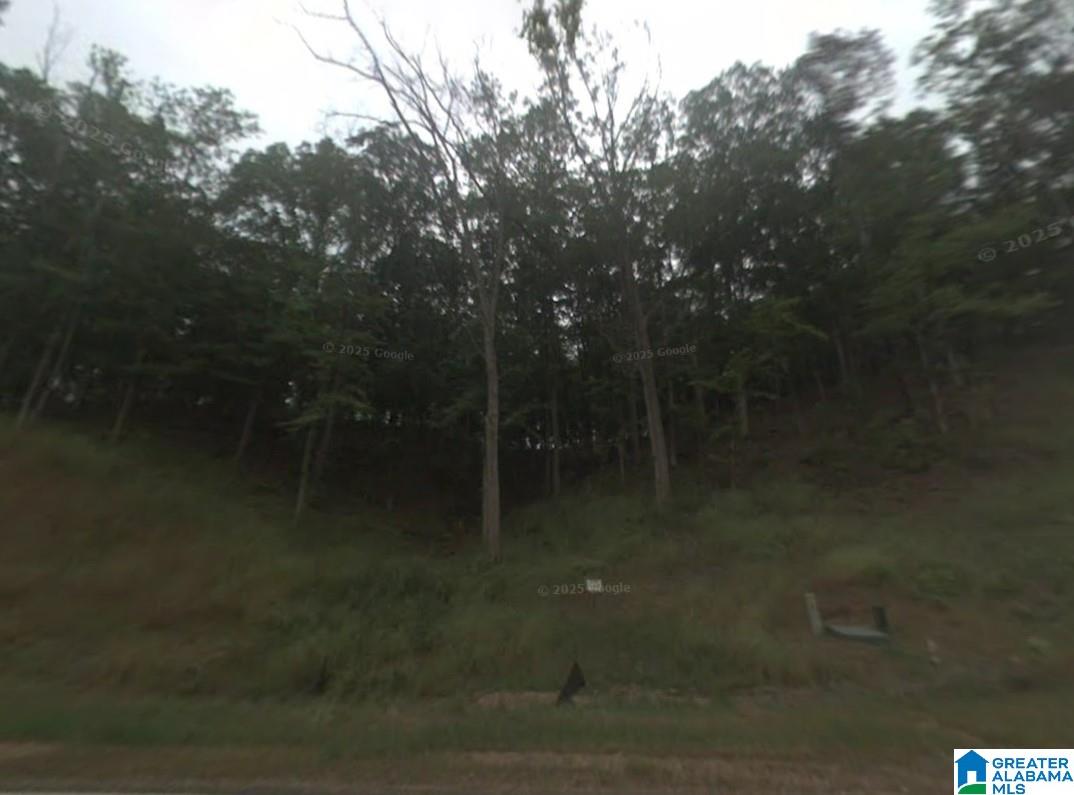 1409 LOOKOUT MTN DRIVE -