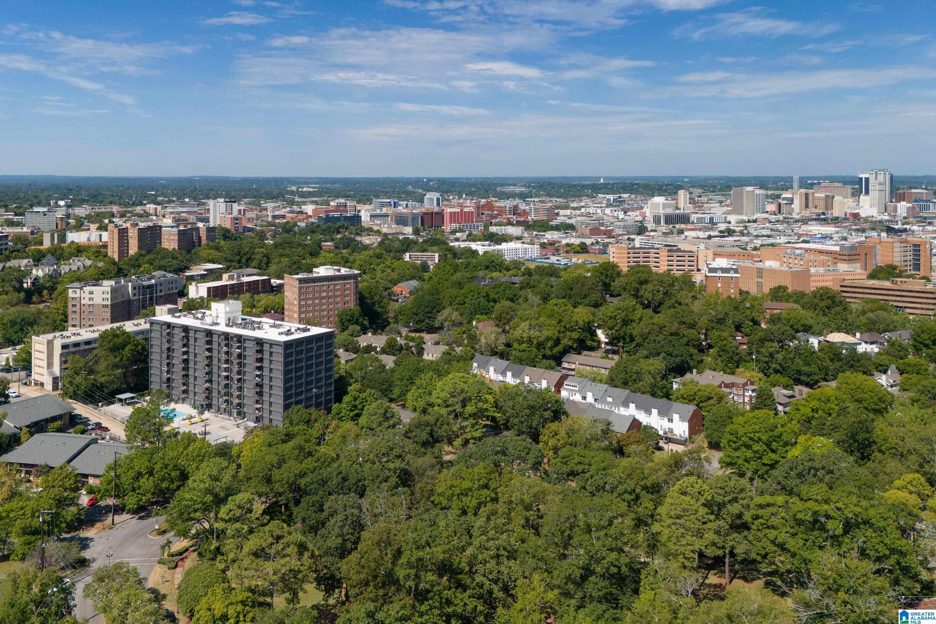 2717 HIGHLAND AVENUE S 1011