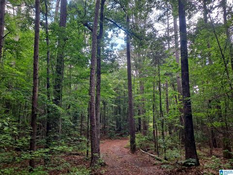 808 FULTON HILL ROAD 808 OAKMAN AL 35579