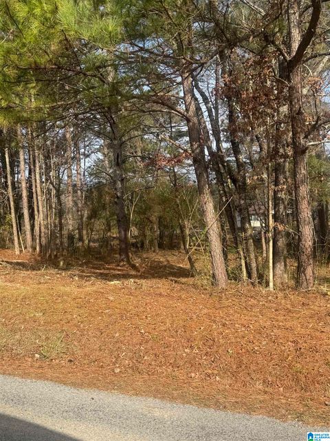 619 SKYVIEW LAKE ROAD 619 WARRIOR AL 35180