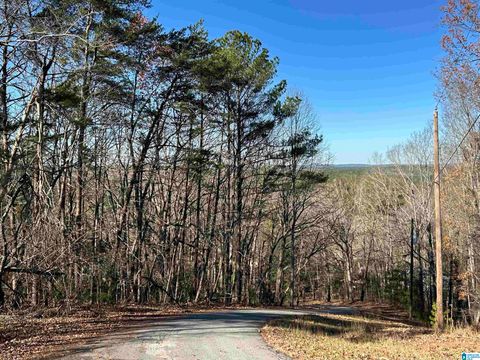 111 N HIGHLAND DRIVE 11 COLUMBIANA AL 35051