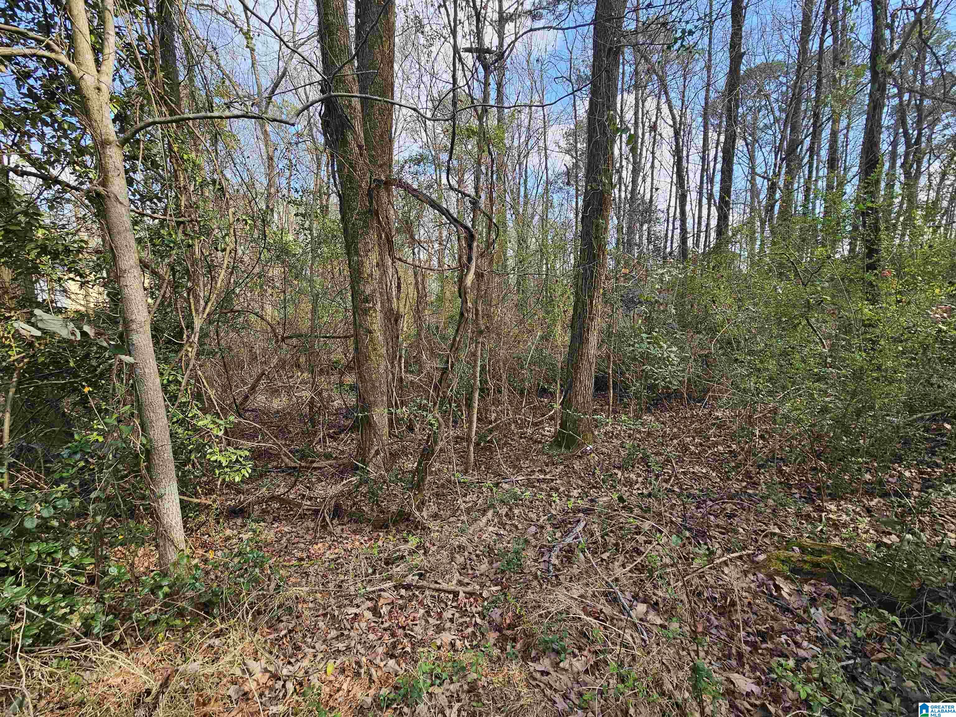 0 MOSS HILL LANE 42 and 43