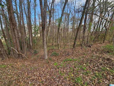 0 MOSS HILL LANE 42 and 43 PELL CITY AL 35128