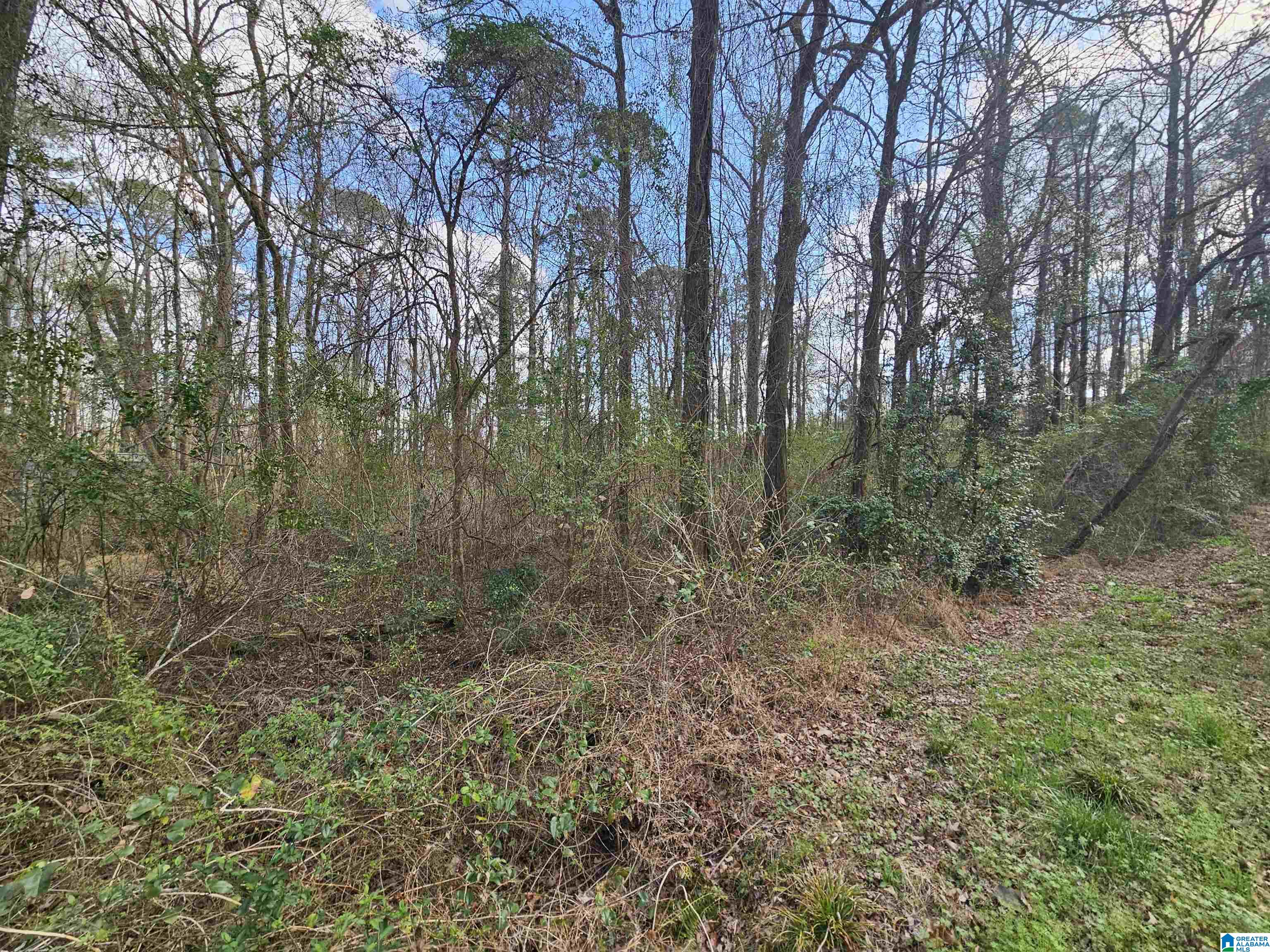 0 MOSS HILL LANE 42 and 43