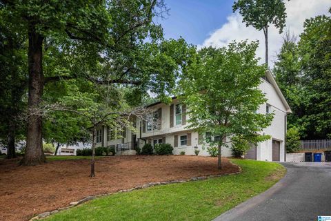 3876 SPRING VALLEY ROAD MOUNTAIN BROOK AL 35223