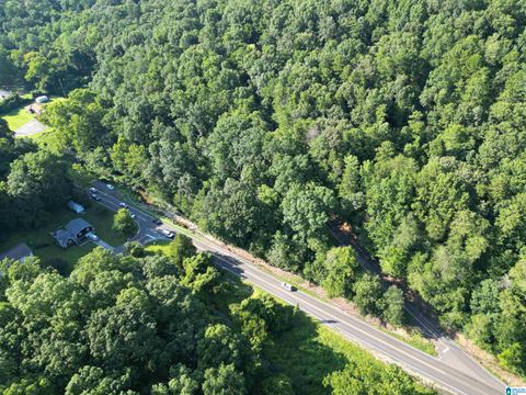 3101 SWEENEY HOLLOW ROAD 1 BIRMINGHAM AL 35215