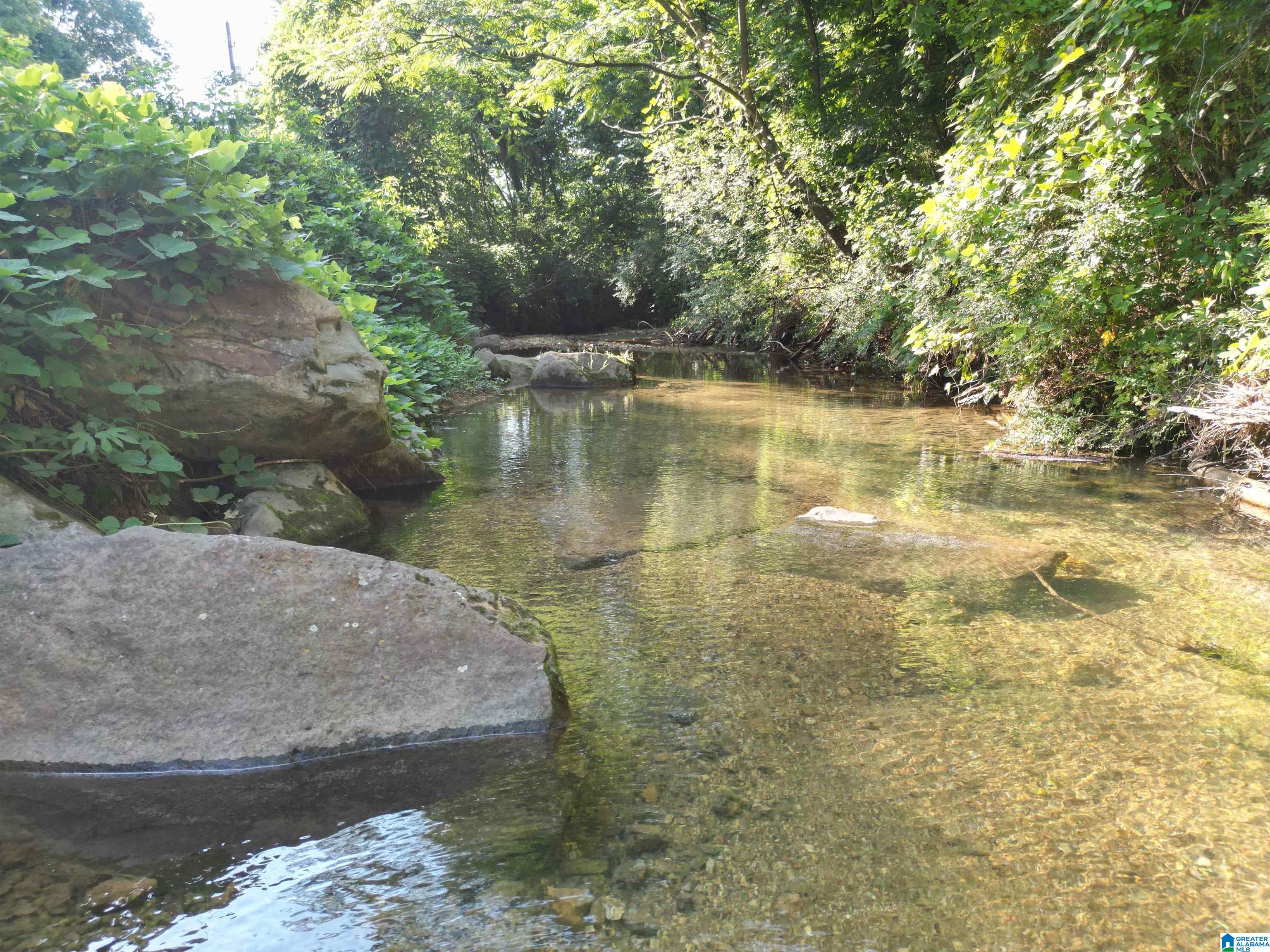 3101 SWEENEY HOLLOW ROAD 1