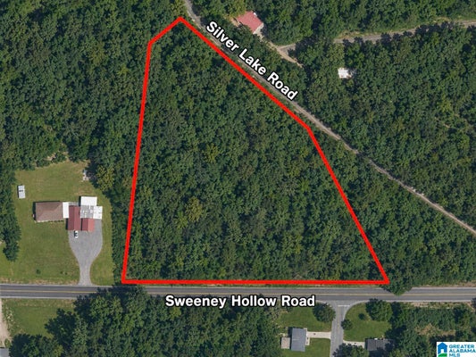 3101 SWEENEY HOLLOW RD # 1, BIRMINGHAM, AL 35215 - Image a00a00890e2f87b8082e35941eff860c/3417327014