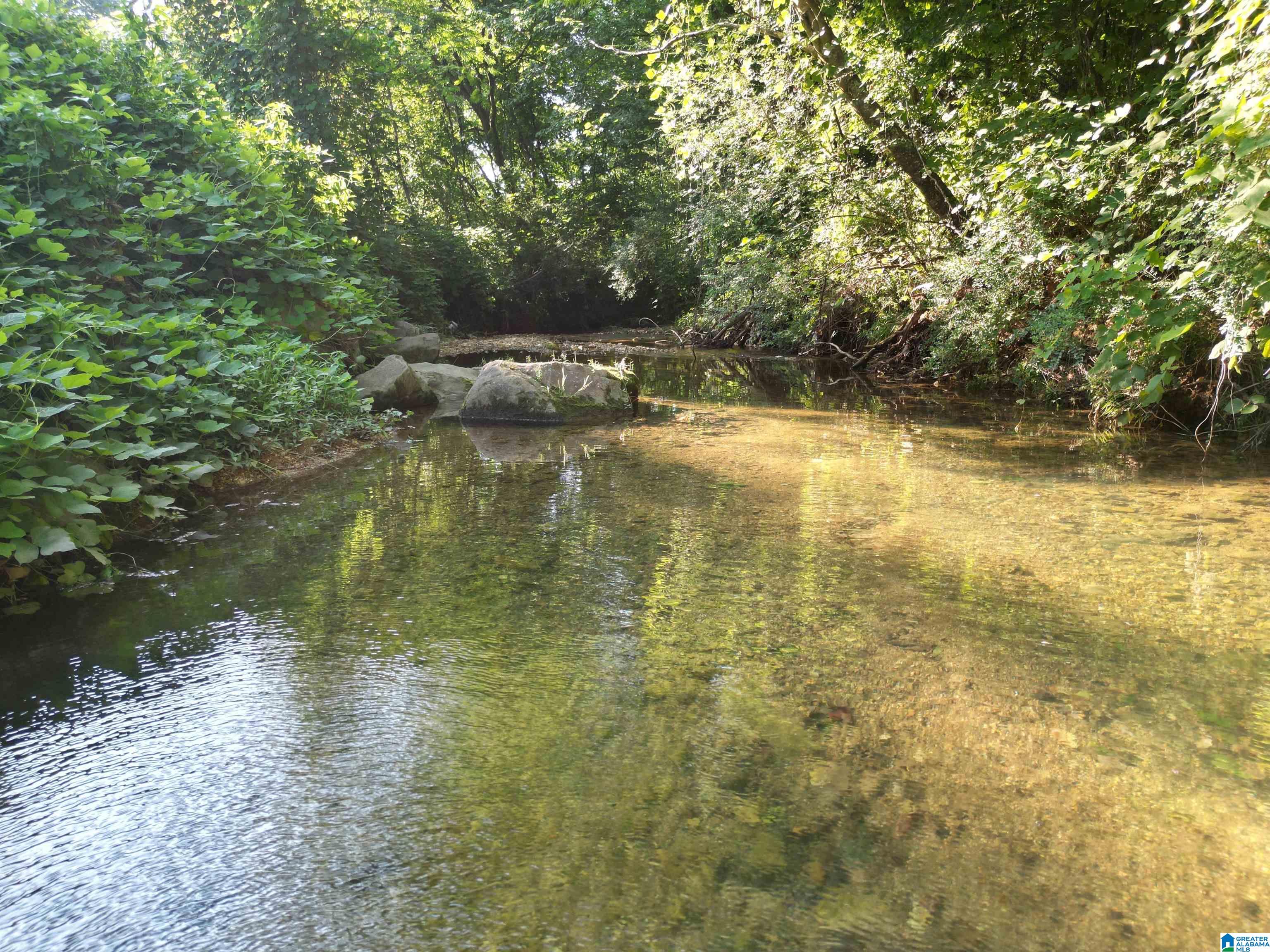 3101 SWEENEY HOLLOW ROAD 1