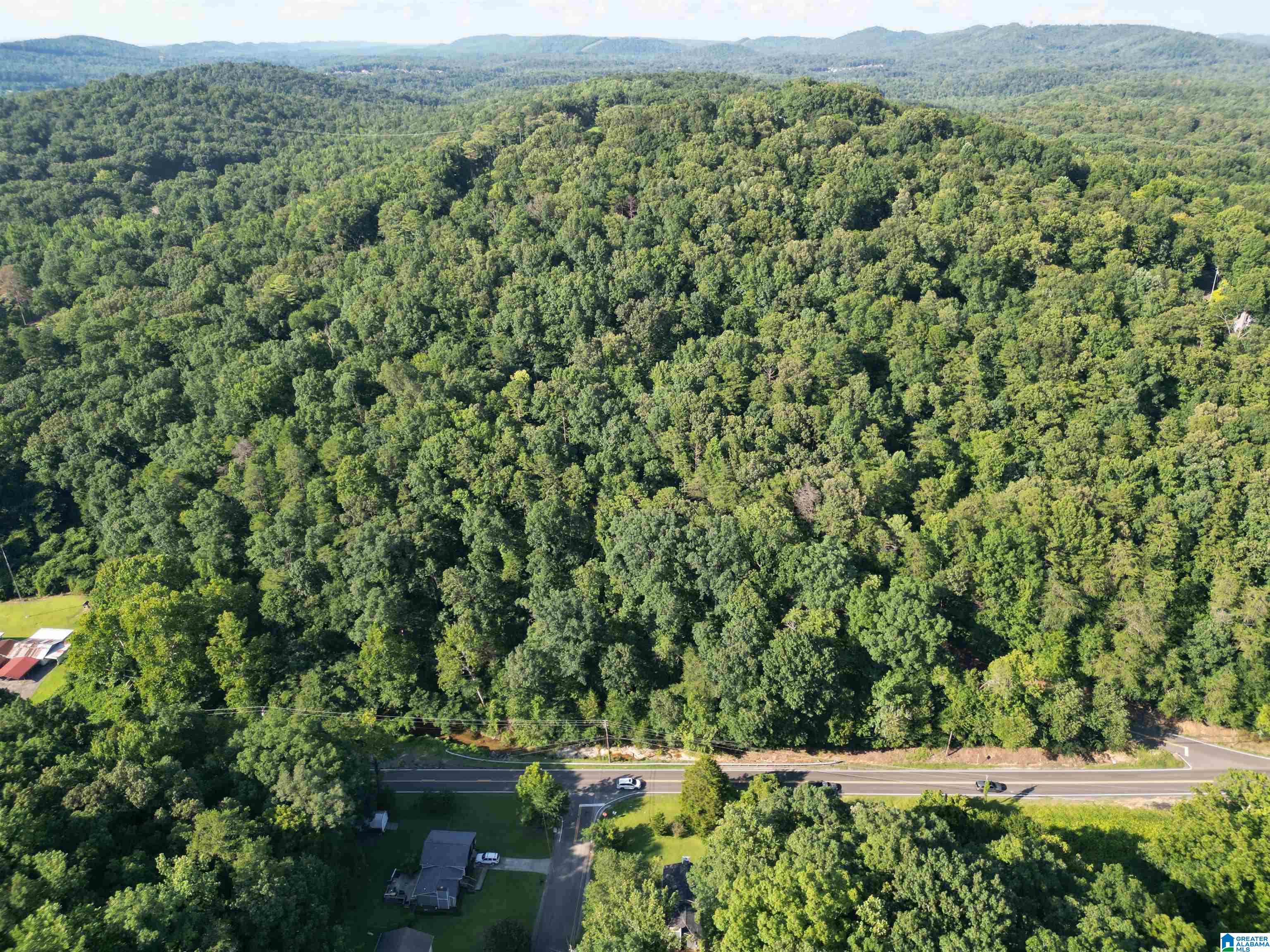 3101 SWEENEY HOLLOW ROAD 1