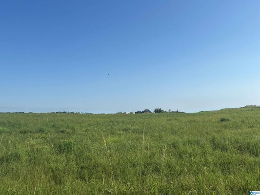 32 COUNTY RD 1464, CULLMAN, AL 35058 - Image a0d9ab7ca10a17088d36aef042dbfd67/3782861158