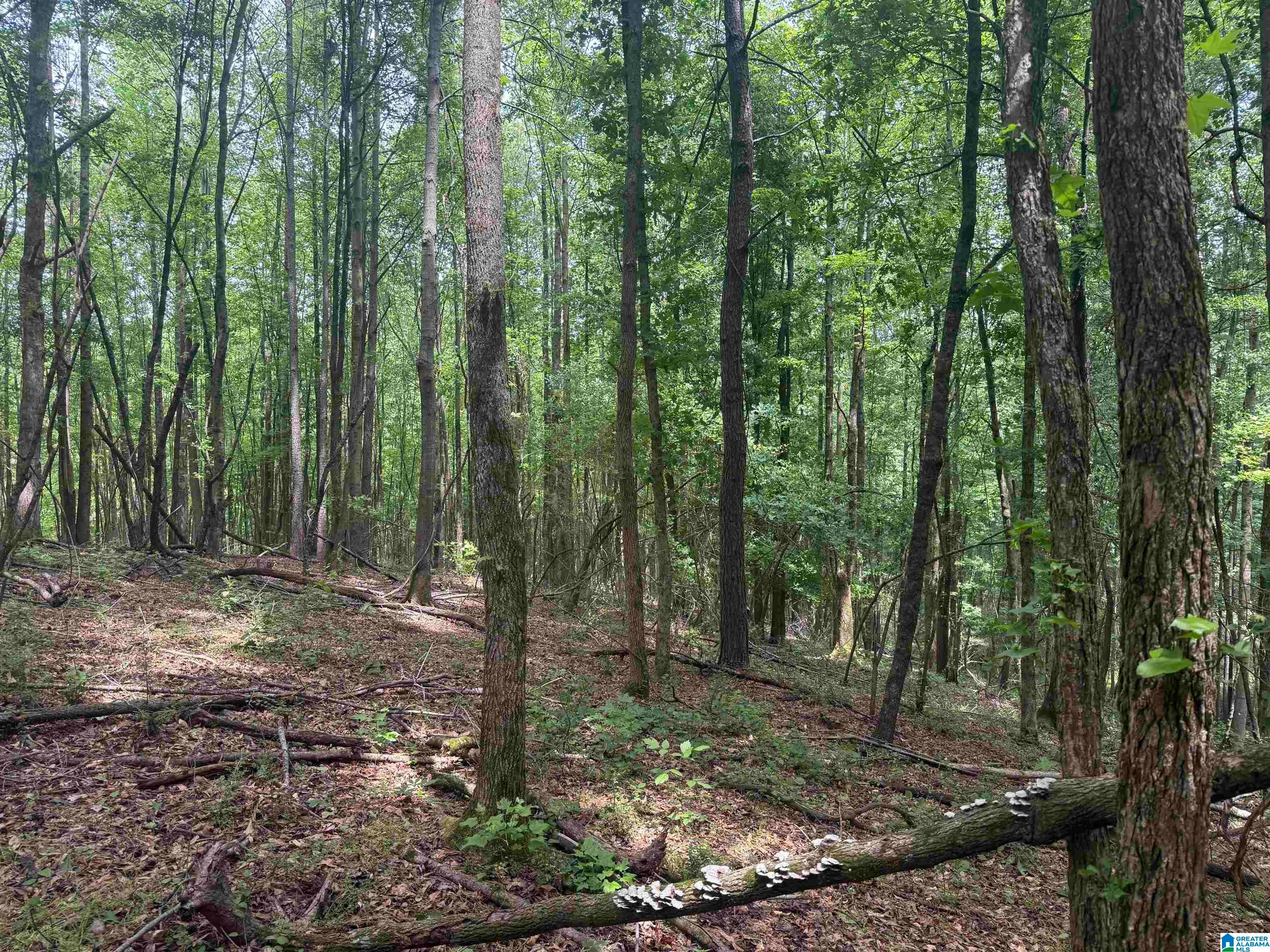 1 COUNTY ROAD 670 -