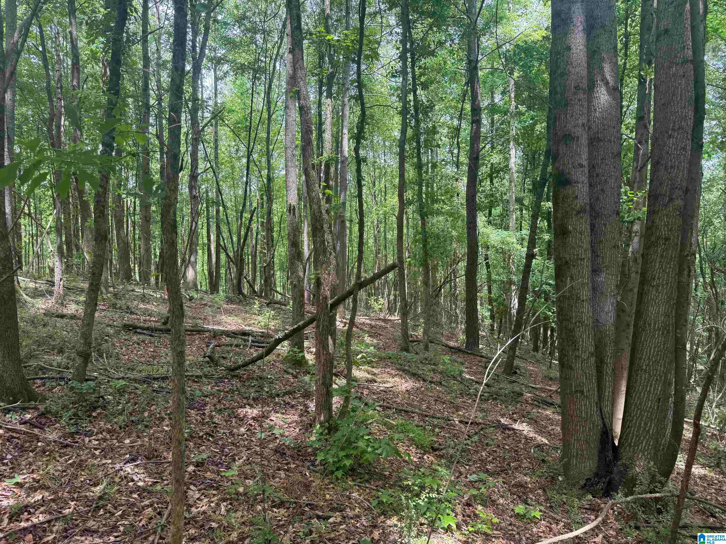 1 COUNTY ROAD 670 -