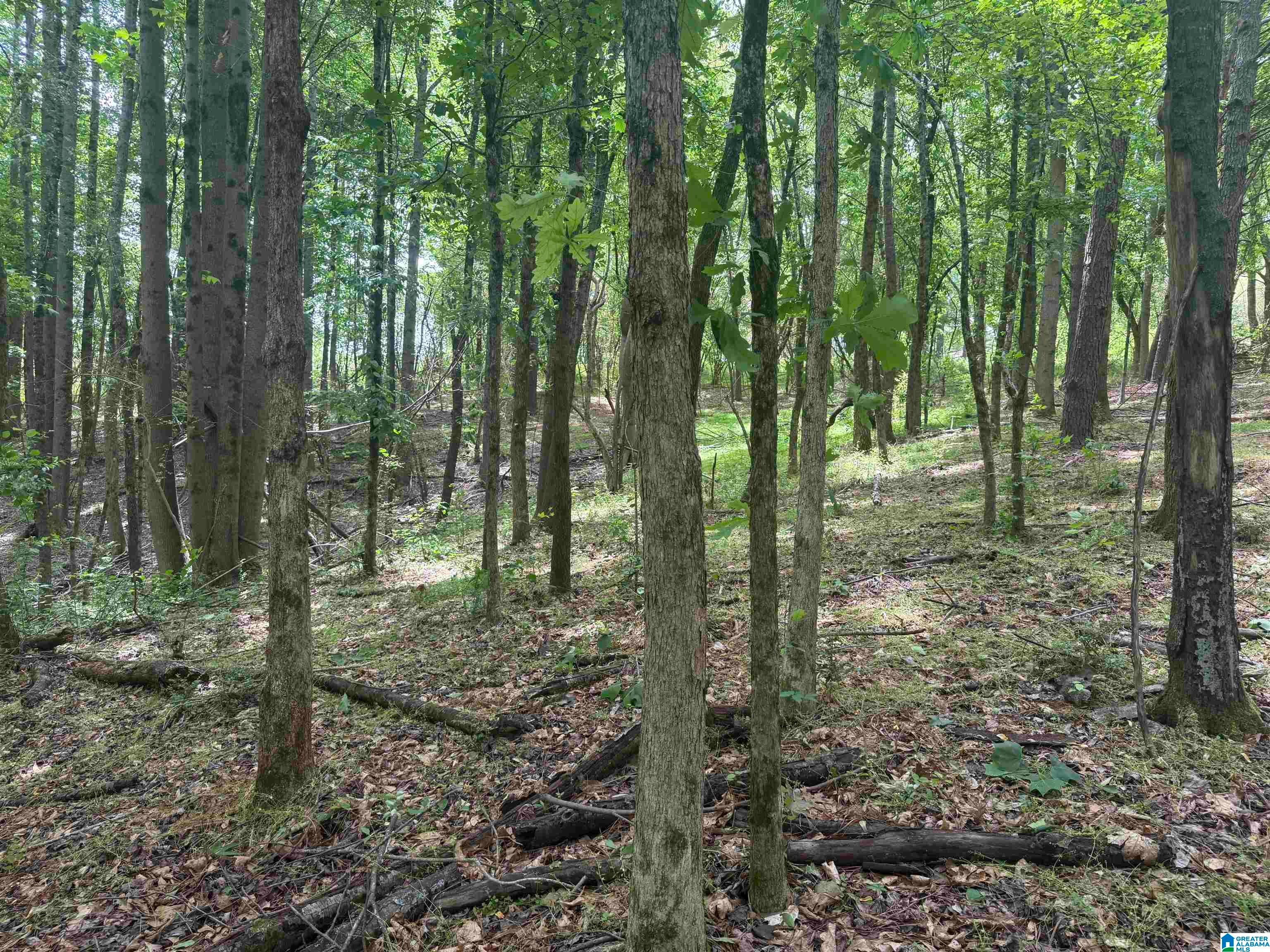 1 COUNTY ROAD 670 -