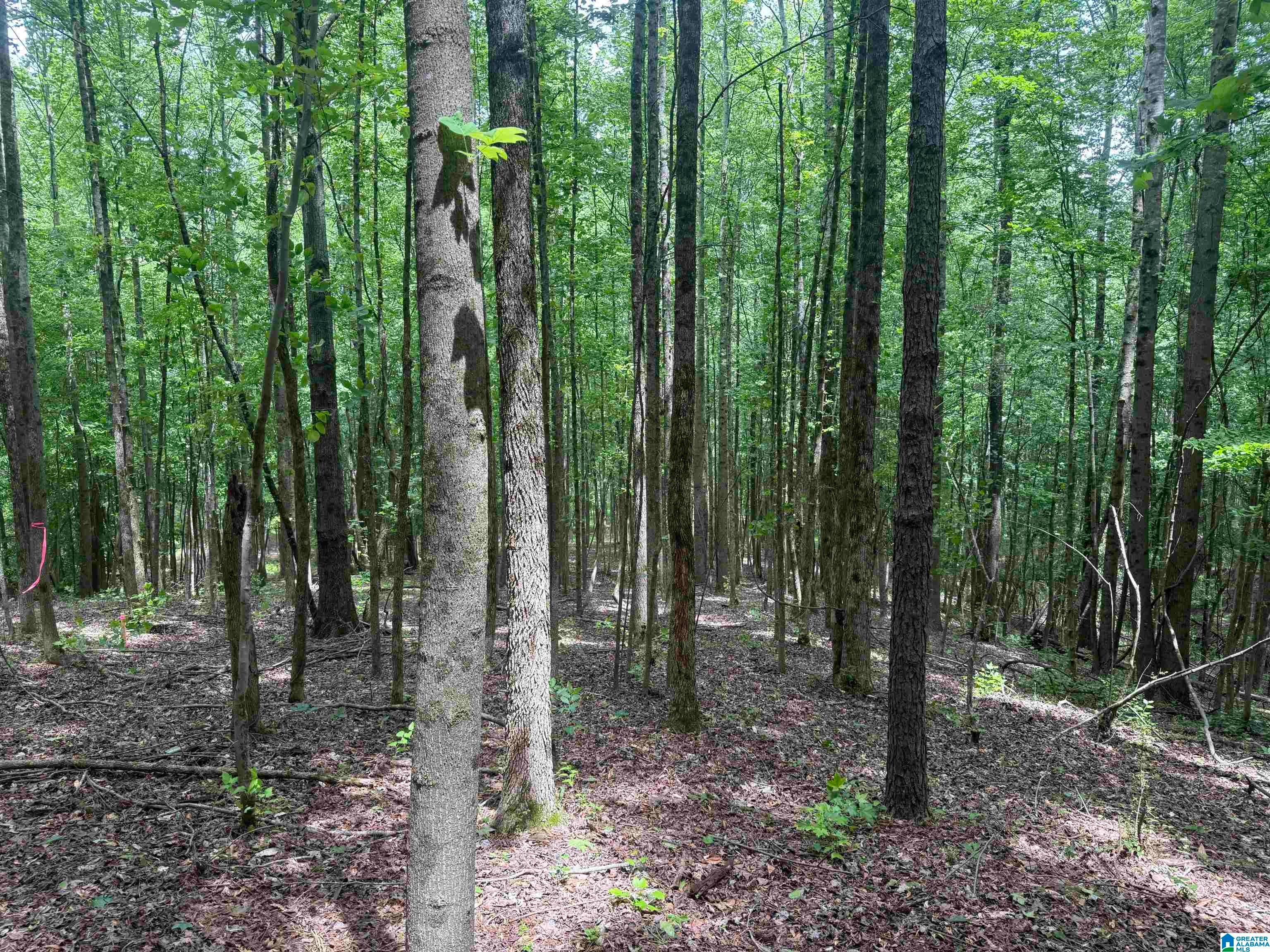 1 COUNTY ROAD 670 -