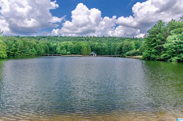 WINCHESTER CV, BIRMINGHAM, AL 35216 - Image a10c57e8ff11e44f6bb2fc184fea6bb6/1539735907