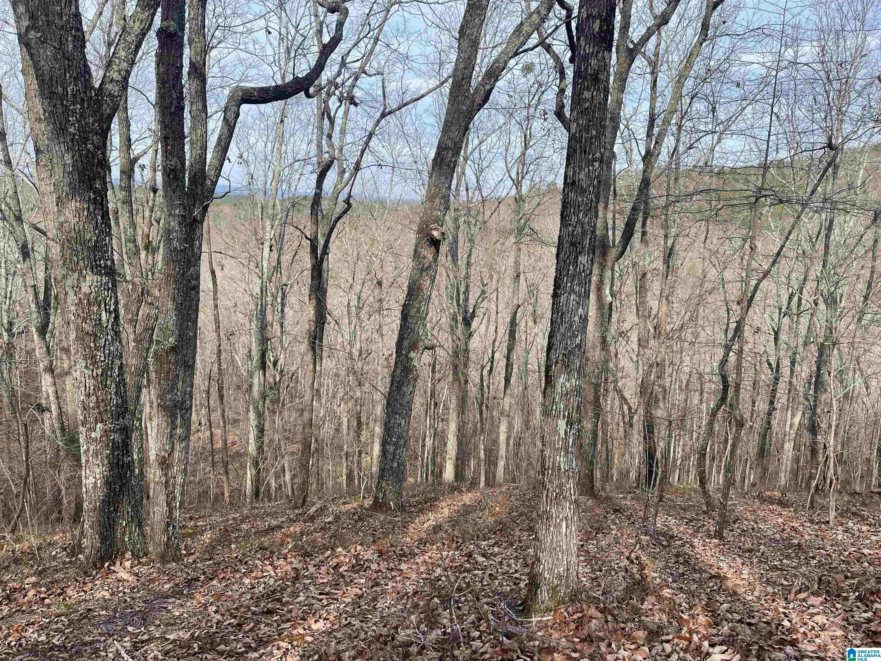 0 COUNTY ROAD 852 None