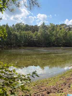 COUNTY RD 490, CLANTON, AL 35046 - Image a1c8d97bdafb56eb4b160a02e5331334/1666864175