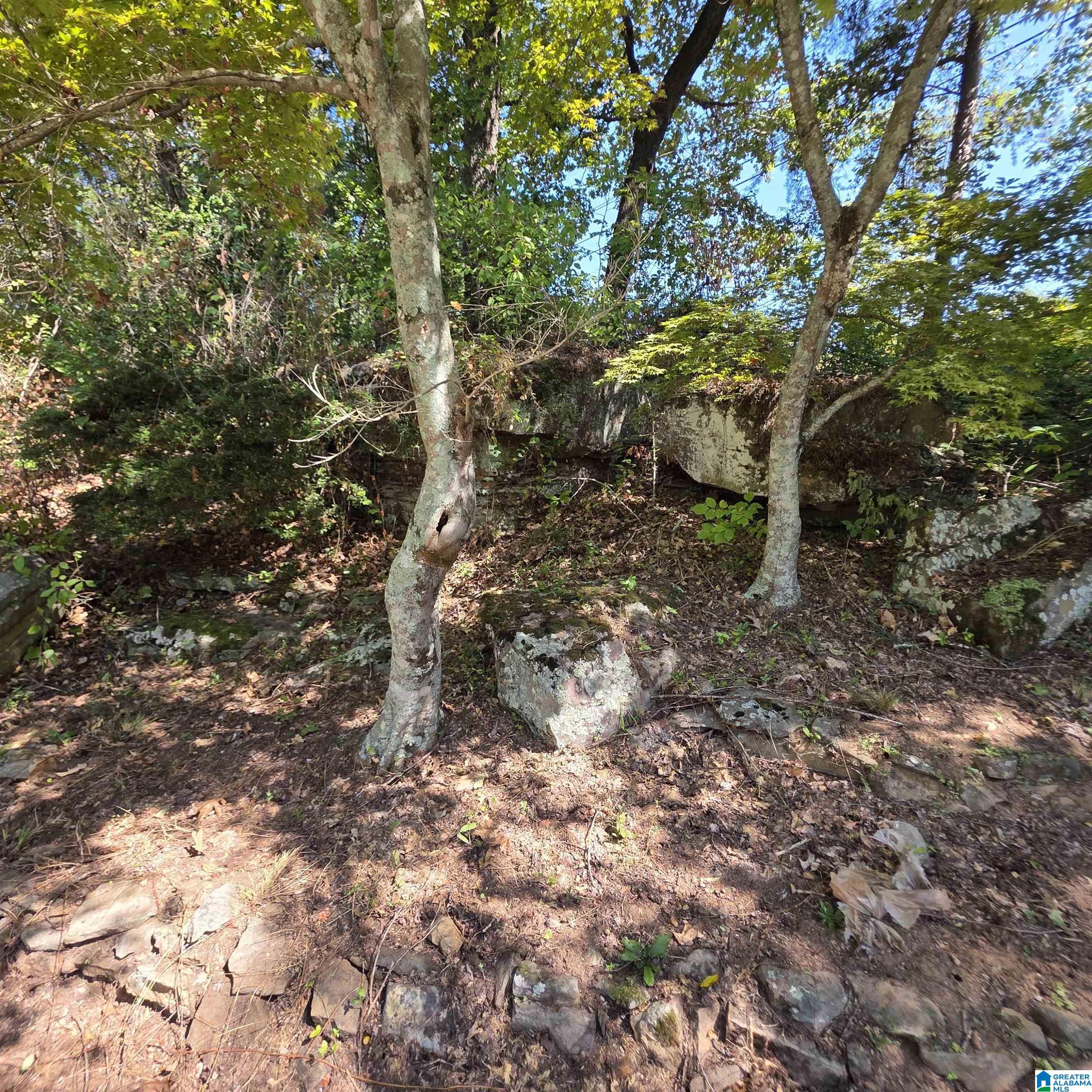 1752 SHADES CREST ROAD