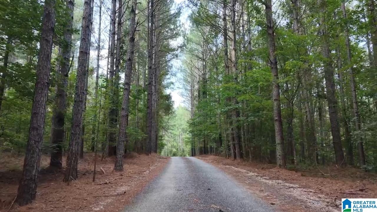 218 FOXTAIL PATH 1