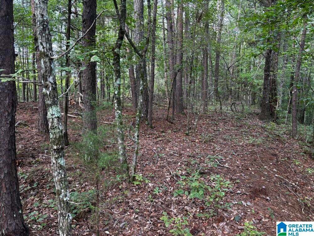 63 +/- Acres STANLEY ROAD 0