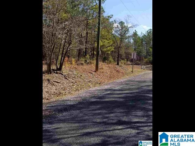 0 MORNING GLORY CIRCLE 10