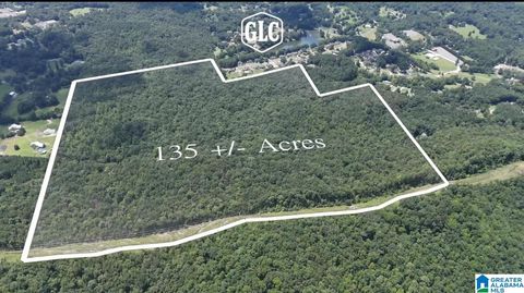 200 DAPHNE ROAD 1 SPRINGVILLE AL 35146