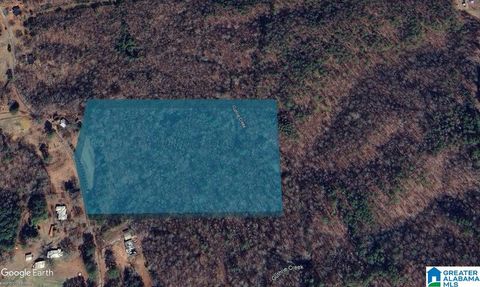 0 BLACKWOOD ROAD 0 PARRISH AL 35580