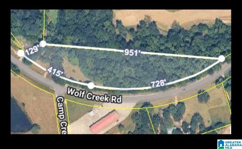 3401 WOLF CREEK ROAD 41973 PELL CITY AL 35128
