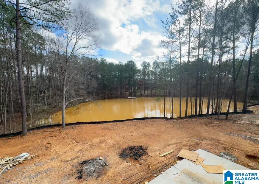 198 RIVER BIRCH ROAD